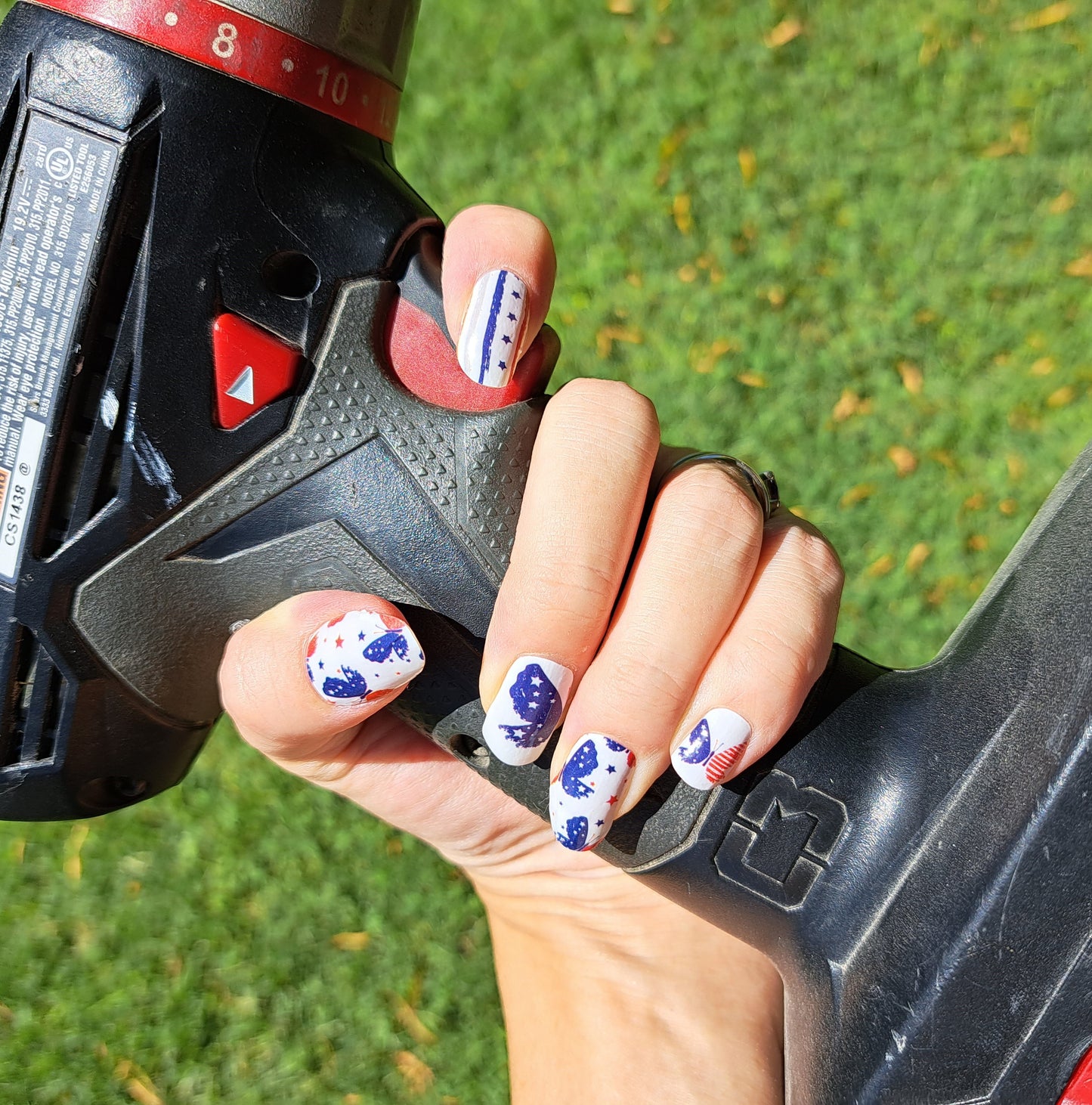 Red, White, And Butterfly
