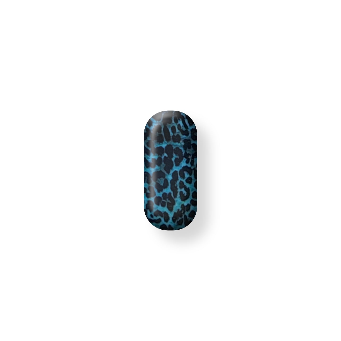 Sexy Turquoise