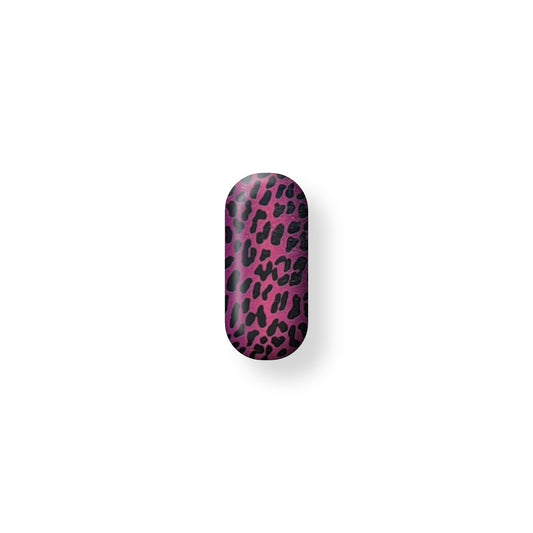 Wild Fuchsia